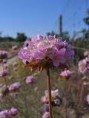 /album/imagens9/images-3-jpg2/